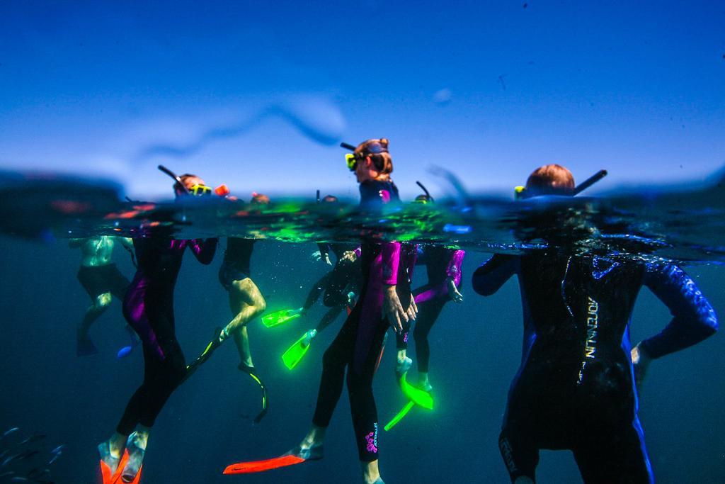 فندق Sal Salis Ningaloo Reef إكسماوث المظهر الخارجي الصورة