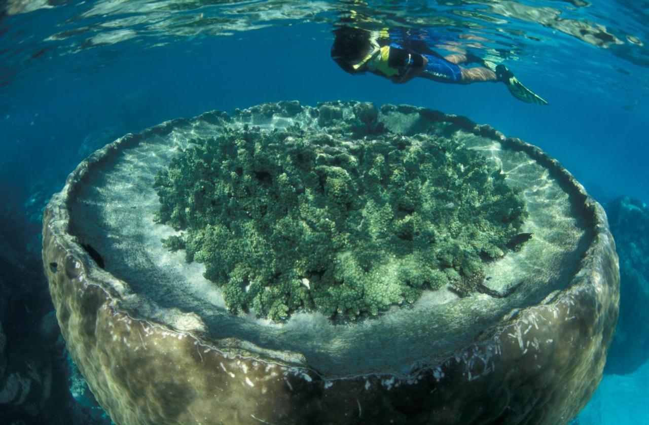 فندق Sal Salis Ningaloo Reef إكسماوث المظهر الخارجي الصورة